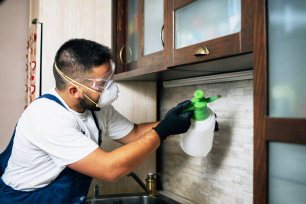 Best Flea Control Services  in Maywood Park, OR