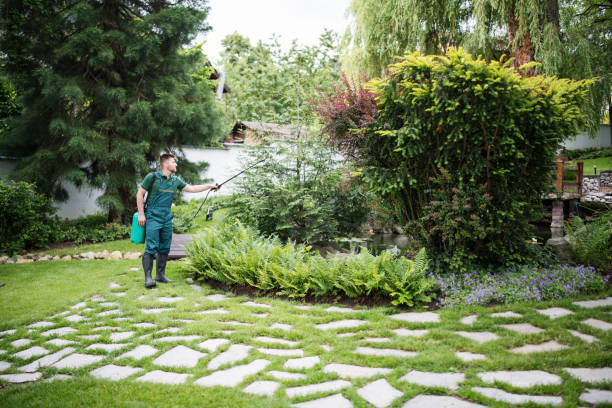 Best Emergency Pest Control  in Maywood Park, OR