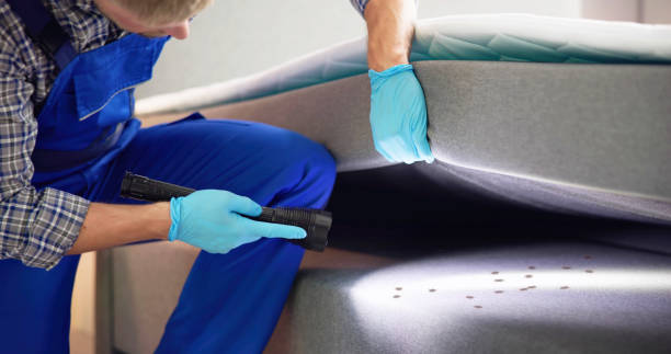 Best Mosquito Control Services  in Maywood Park, OR