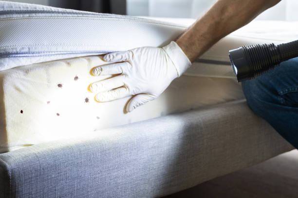 Best Cockroach Control Services  in Maywood Park, OR